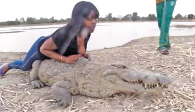 dumb people vs crocodiles 2 20 People Pushing Their Luck With Crocodiles (20 photos)