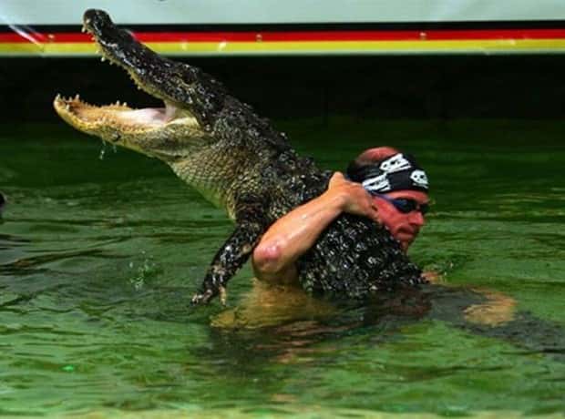 dumb people vs crocodiles 5 20 People Pushing Their Luck With Crocodiles (20 photos)