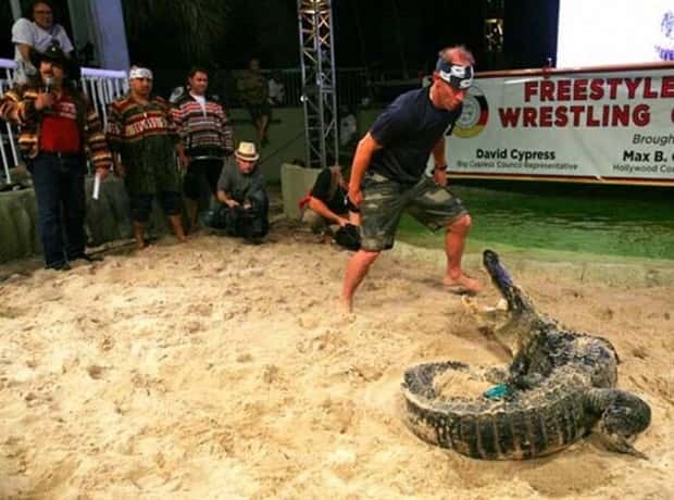 dumb people vs crocodiles 6 20 People Pushing Their Luck With Crocodiles (20 photos)