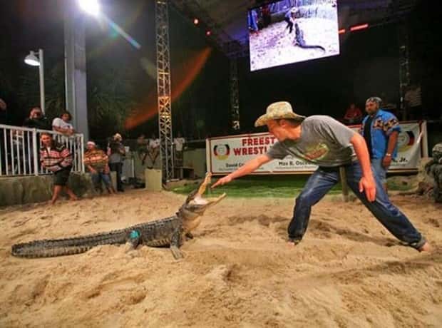 dumb people vs crocodiles 8 20 People Pushing Their Luck With Crocodiles (20 photos)