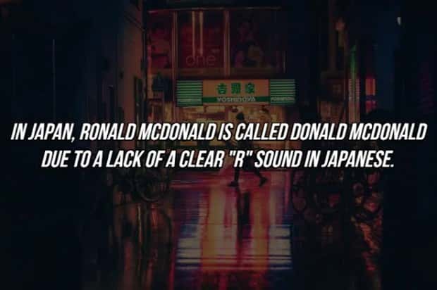 19 Fun Facts To Amaze Friends (19 photos)