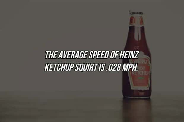 19 Fun Facts To Amaze Friends (19 photos)