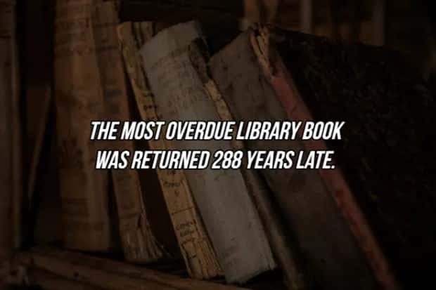 19 Fun Facts To Amaze Friends (19 photos)