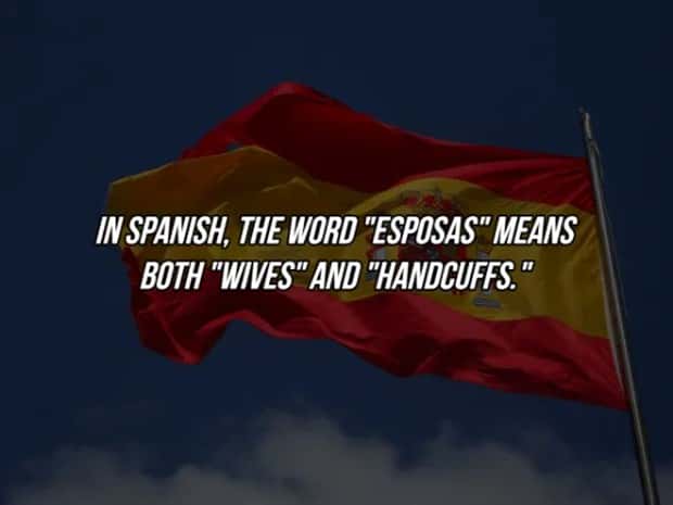 19 Fun Facts To Amaze Friends (19 photos)