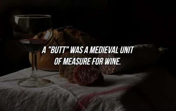 19 Fun Facts To Amaze Friends (19 photos)