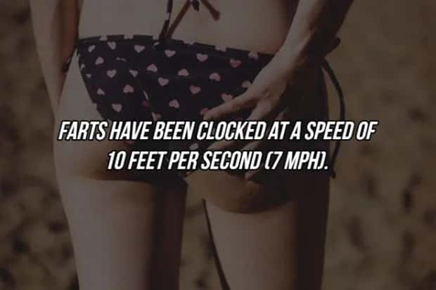 19 Fun Facts To Amaze Friends (19 photos)