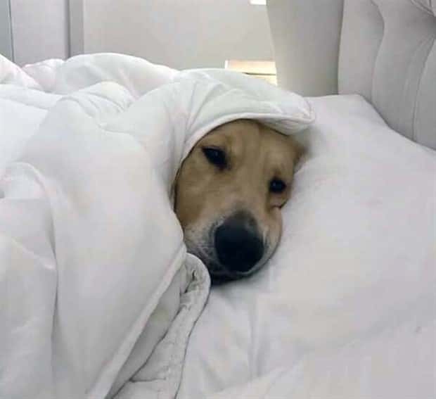 Get Ready for Funny Animals #430 (22 photos)