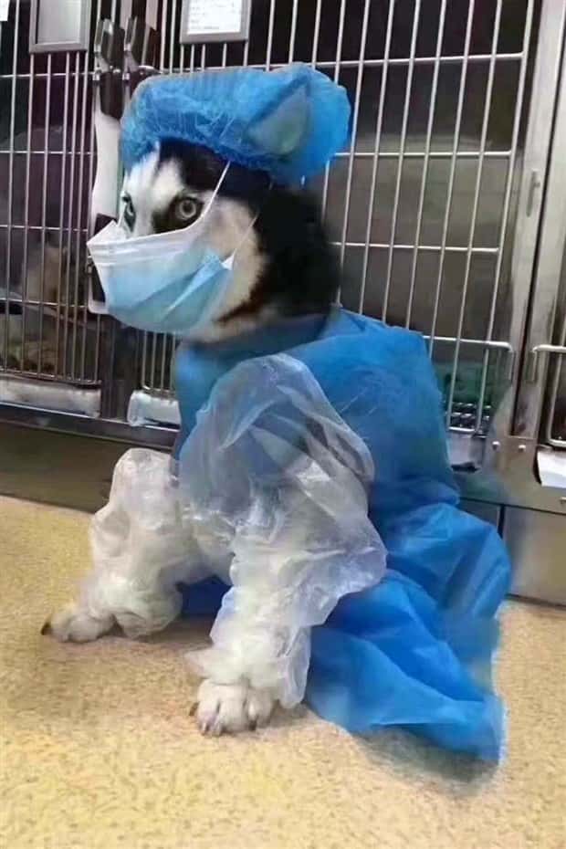 Get Ready for Funny Animals #430 (22 photos)