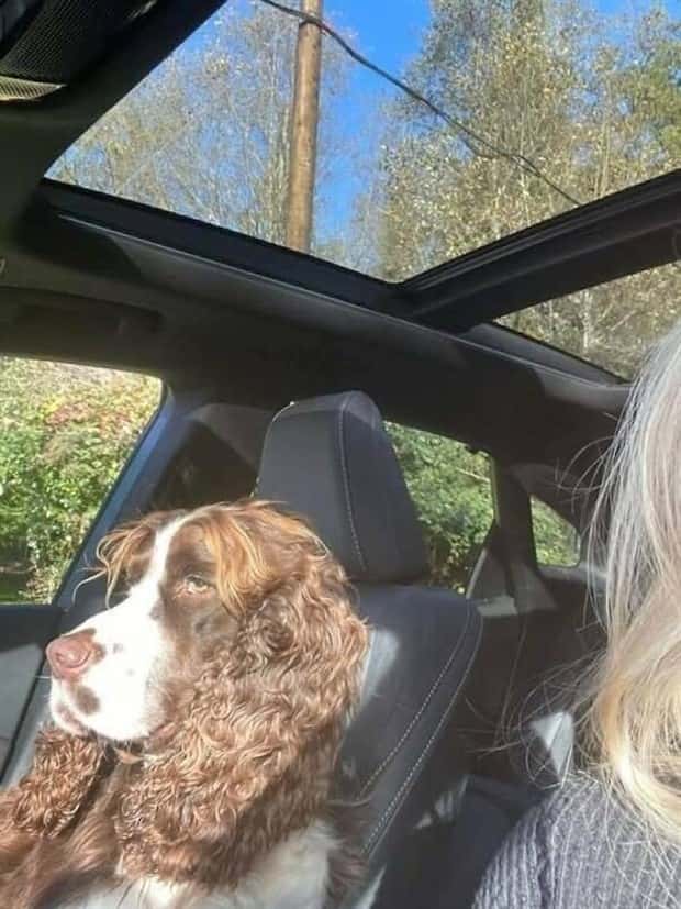 funny animals 8 3 Get Ready for Funny Animals #431 (21 photos)