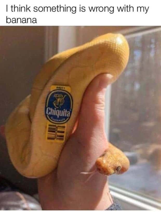 funny memes 11 Funny Pics and Memes to Make You Laugh #199 (22 photos)