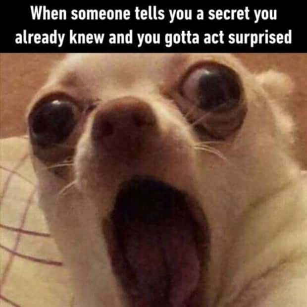 funny memes 15 Funny Pics and Memes to Make You Laugh #199 (22 photos)