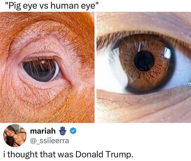 funny memes 3 Funny Pics and Memes to Make You Laugh #199 (22 photos)