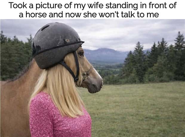 Funny Pics and Memes to Make You Laugh #198 (20 photos)