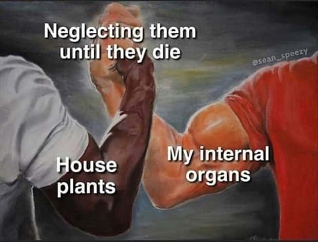 Funny Pics and Memes to Make You Laugh #198 (20 photos)