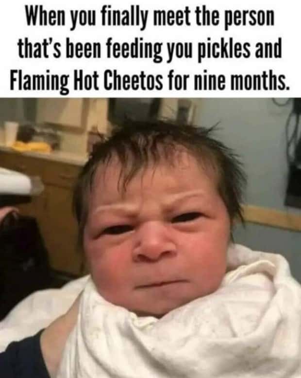 Funny Pics and Memes to Make You Laugh #200 (25 photos)