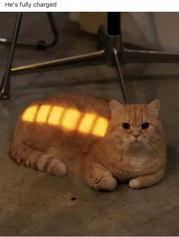 Funny Pics and Memes to Make You Laugh #200 (25 photos)