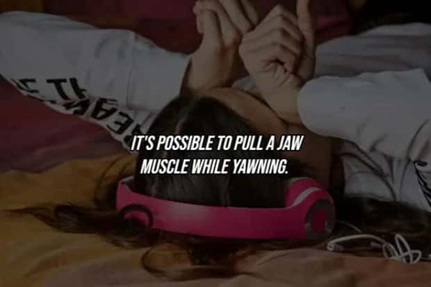 25 Surprising Facts About The Human Body (25 photos)