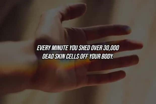 25 Surprising Facts About The Human Body (25 photos)