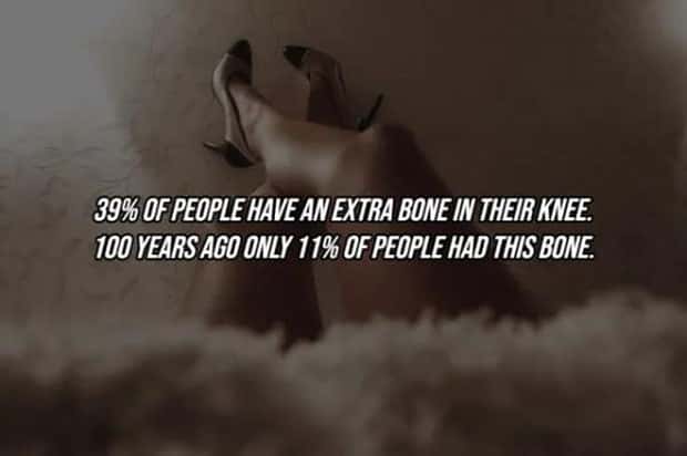 25 Surprising Facts About The Human Body (25 photos)