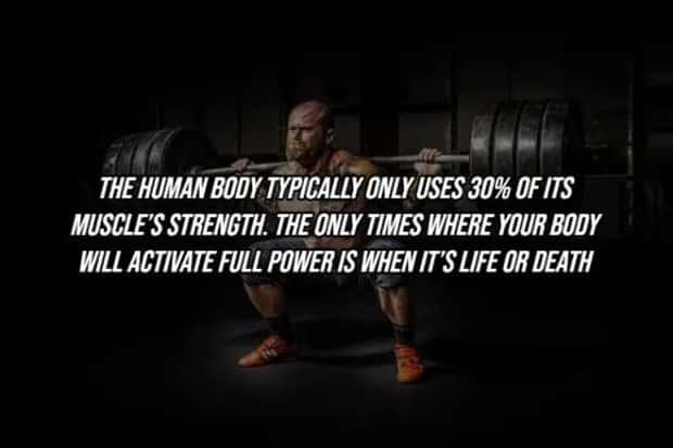 25 Surprising Facts About The Human Body (25 photos)