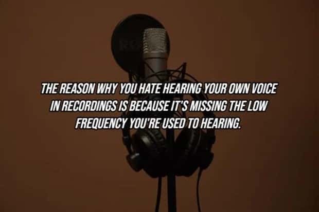 25 Surprising Facts About The Human Body (25 photos)