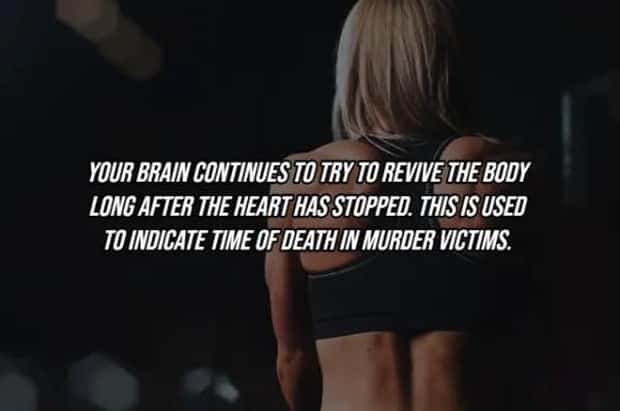 25 Surprising Facts About The Human Body (25 photos)