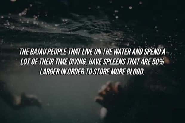 25 Surprising Facts About The Human Body (25 photos)