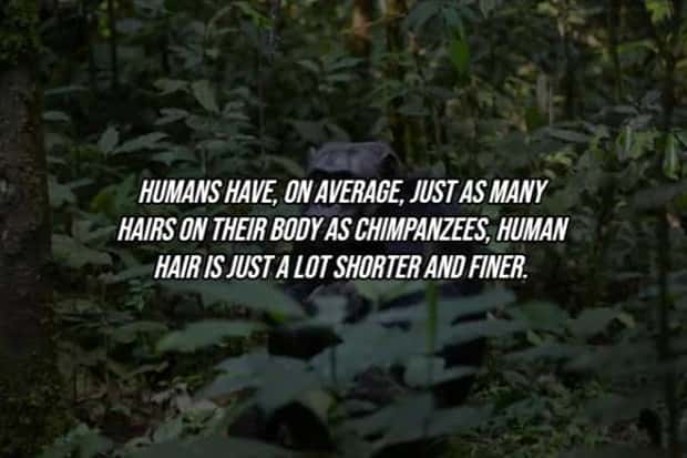 25 Surprising Facts About The Human Body (25 photos)