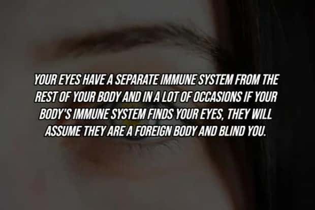 25 Surprising Facts About The Human Body (25 photos)