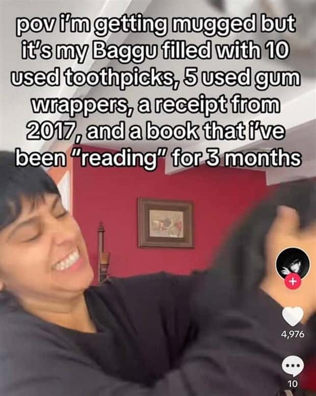 25 TikTok Screenshots That Kill Brain Cells (25 photos)