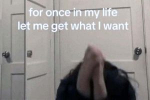 25 TikTok Screenshots That Kill Brain Cells (25 photos)