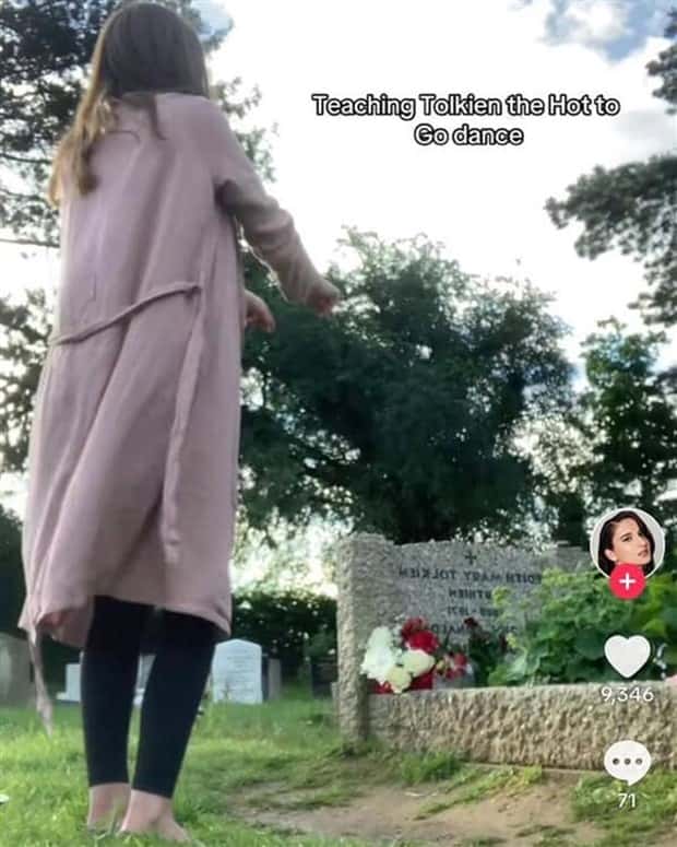 25 TikTok Screenshots That Kill Brain Cells (25 photos)