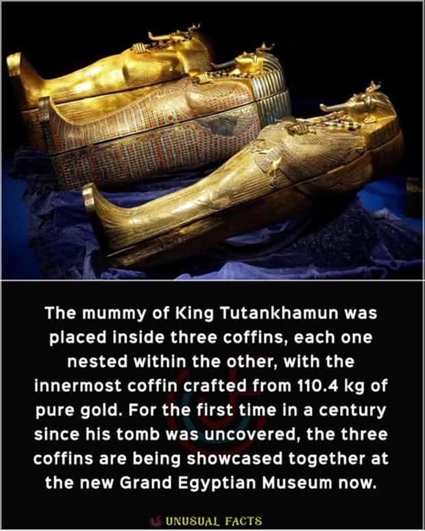 Cool and Interesting Facts #472 (23 photos)