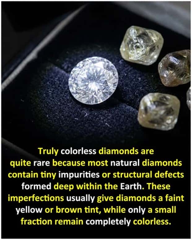 Cool and Interesting Facts #472 (23 photos)