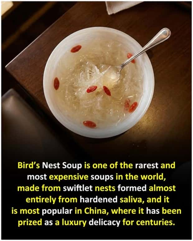 Cool and Interesting Facts #472 (23 photos)