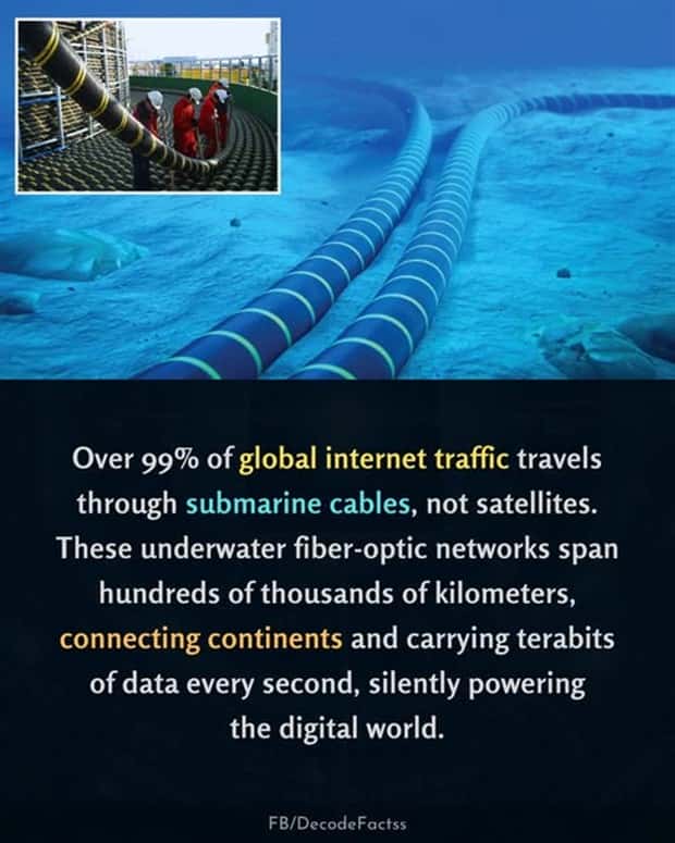 Cool and Interesting Facts #472 (23 photos)