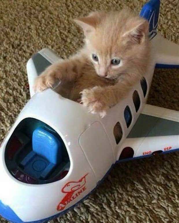 Klyker Picdump #1939 (44 photos)