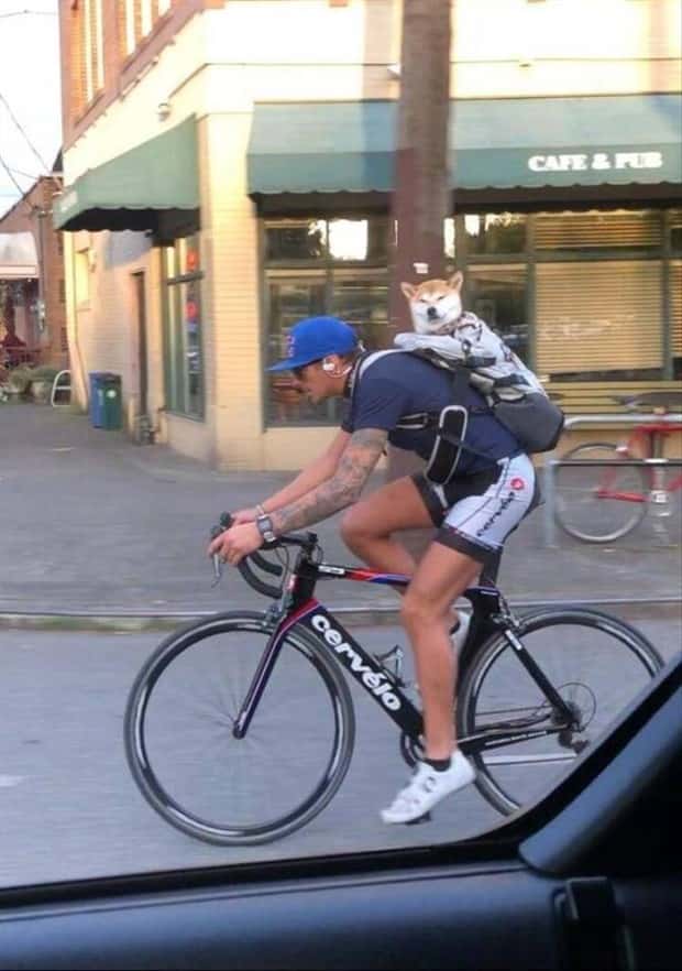 Klyker Picdump #1941 (41 photos)