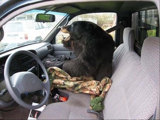 Klyker Picdump #1946 (41 photos)
