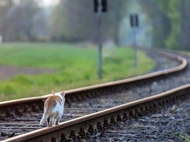 Klyker Picdump #1946 (41 photos)