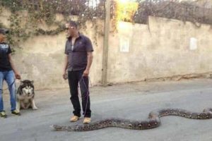 Klyker Picdump #1948 (43 photos)