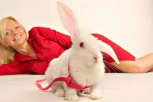 Klyker Picdump #1950 (45 photos)