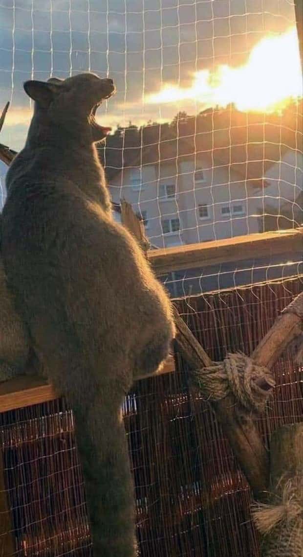 Klyker Picdump #1950 (45 photos)