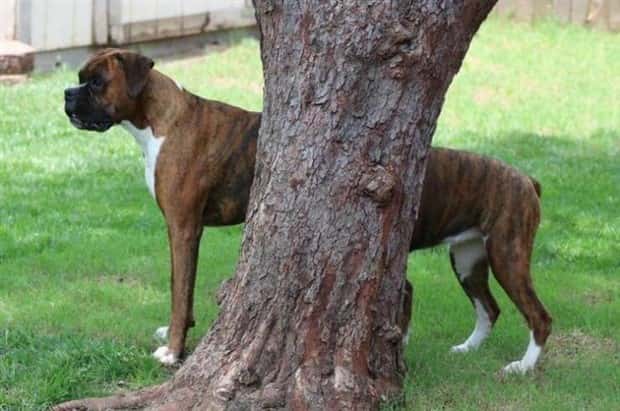 Klyker Picdump #1950 (45 photos)