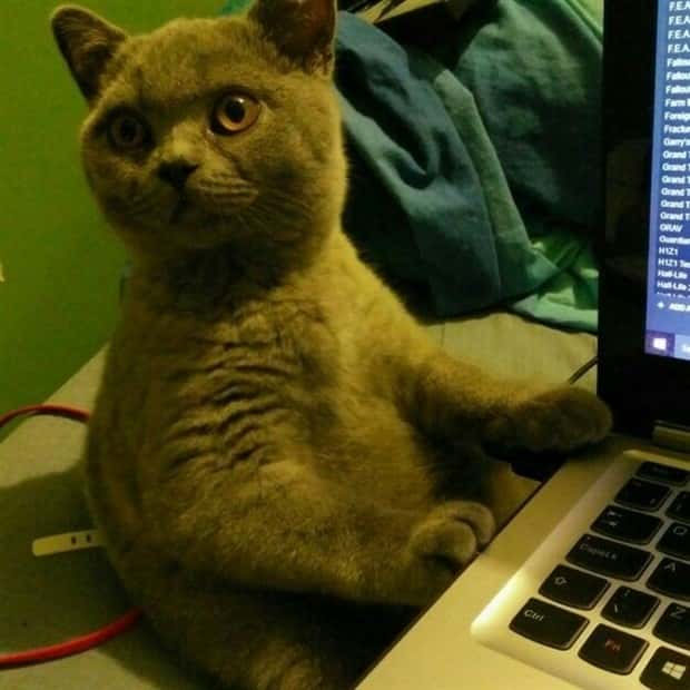 Klyker Picdump #1950 (45 photos)