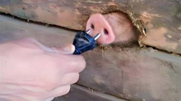 klyker picdump 3 3 2026 23 Klyker Picdump #1932 (42 photos)