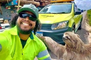 Klyker Picdump #1932 (42 photos)