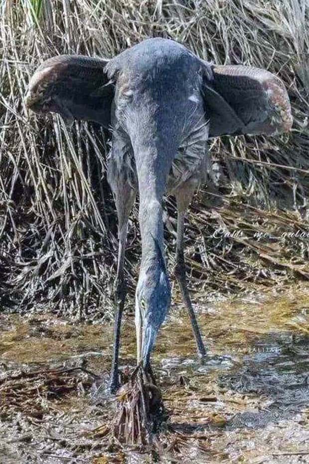 Klyker Picdump #1936 (41 photos)