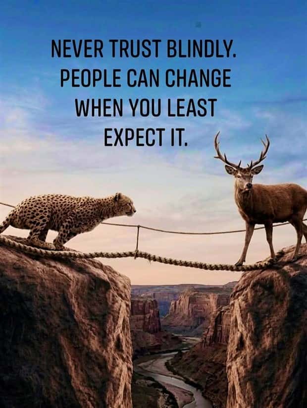 Motivational Quotes, Because It’s Monday #197 (24 photos)