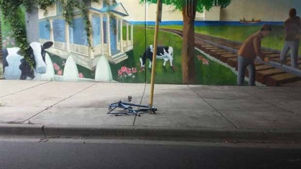 Shit Happens Regularly, Get Used To It #372 (24 photos)